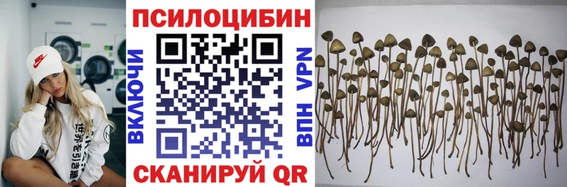 мега ССЫЛКА  Бузулук  Галлюциногенные грибы Psilocybine cubensis 